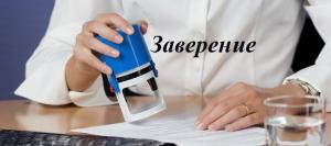 Фотография Вести 0